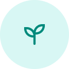 Sustainable Feature 1